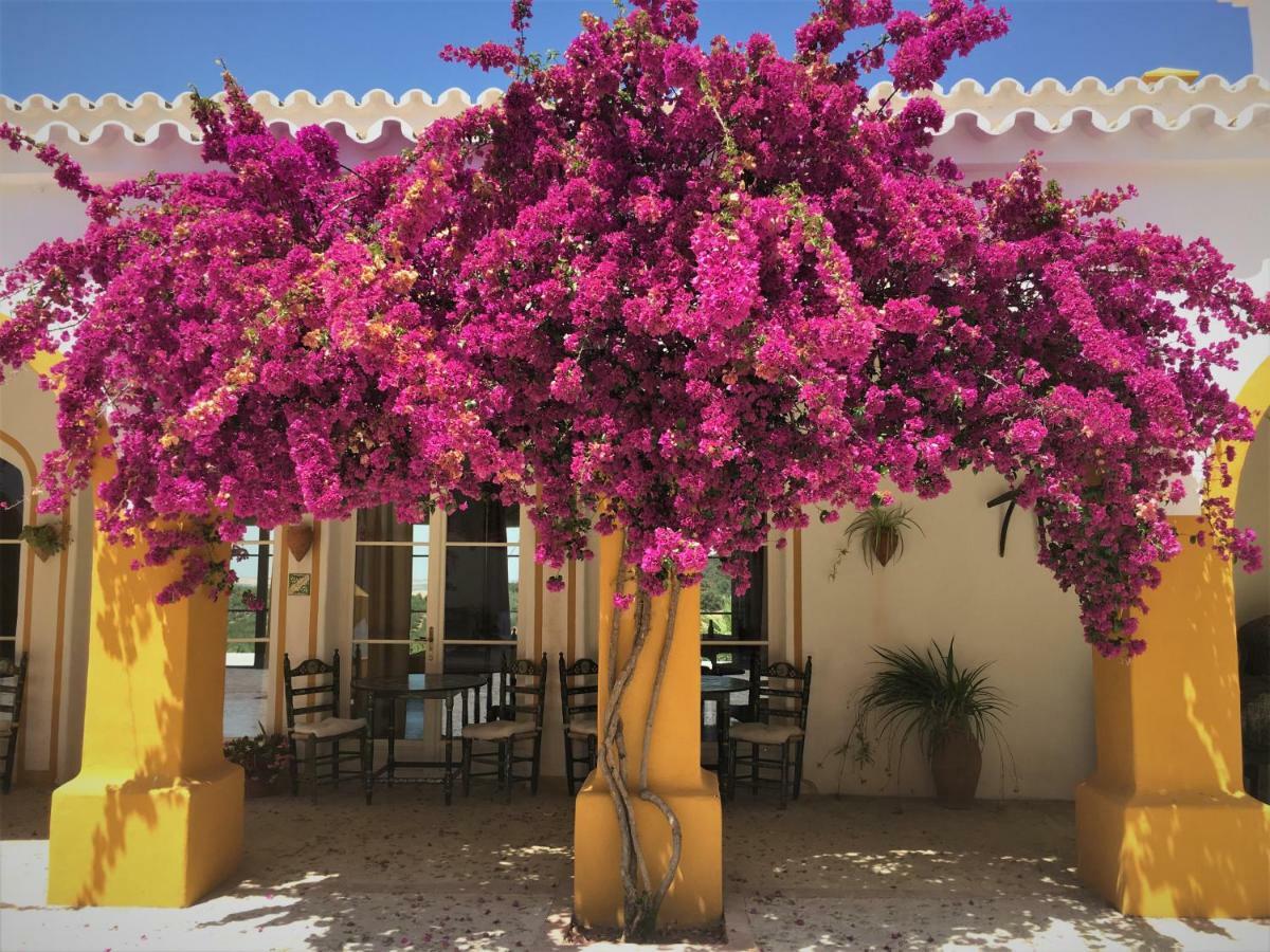 Hacienda La Morena Montellano Exterior photo